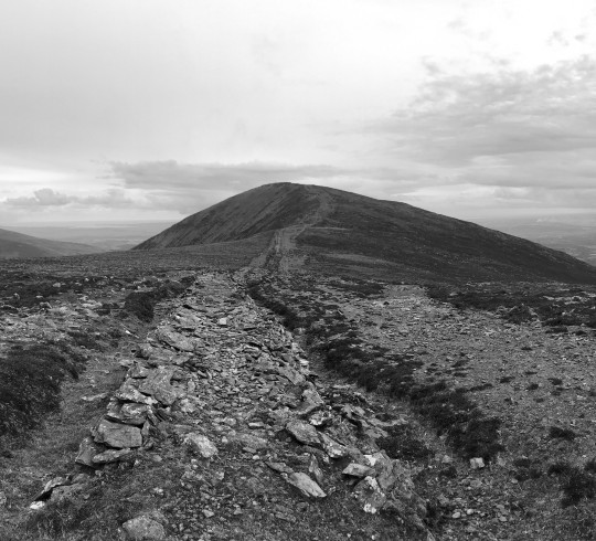 Lismore research image